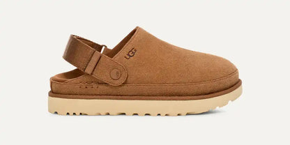 Sabot Goldenstar Chestnut