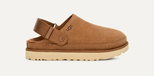 Sabot Goldenstar Chestnut