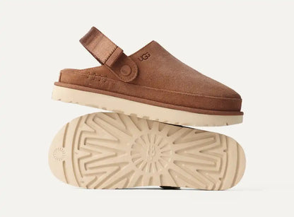 Sabot Goldenstar Chestnut