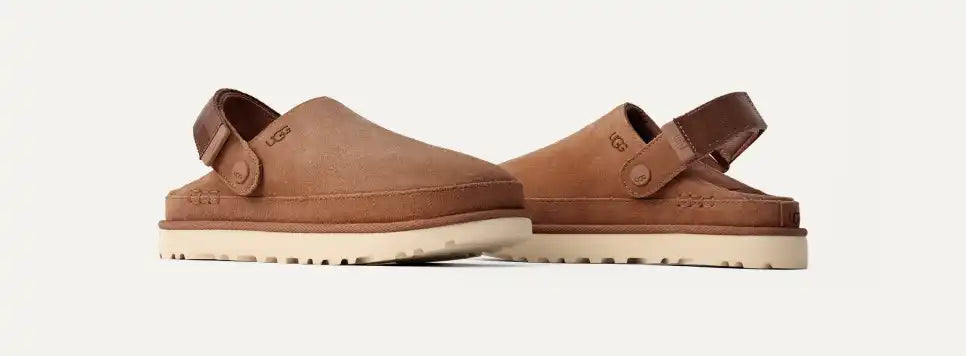 Sabot Goldenstar Chestnut
