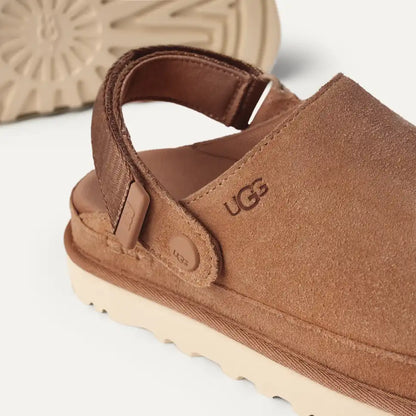 Sabot Goldenstar Chestnut