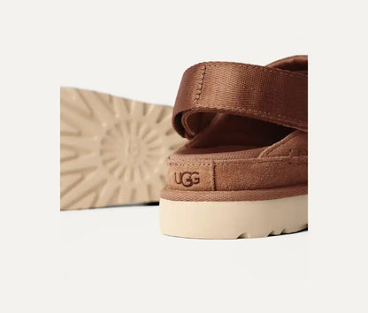 Sabot Goldenstar Chestnut