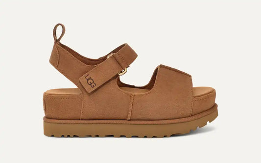 Goldenstar Hi chestnut
